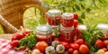 Homemade tomato preserves in glass jars and fresh tomatoes and herbs Royalty Free Stock Photo