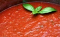 Homemade tomato sauce Royalty Free Stock Photo