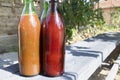 Homemade Tomato sauce in the bottle Royalty Free Stock Photo