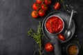 Homemade tomato sauce with spice Royalty Free Stock Photo