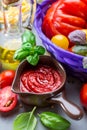 Homemade tomato sauce Royalty Free Stock Photo