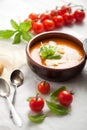 Homemade tomato soup Royalty Free Stock Photo