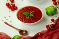 Homemade tomato soup and fresh tomatoes Royalty Free Stock Photo