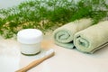 Homemade toothpaste and bamboo toothbrush, towels and greens on