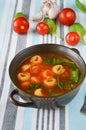 Homemade Tortellini Soup with Tomato, Basil, and Spinach Royalty Free Stock Photo