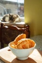 Homemade tortilla Old cat on the window sitting on the window cell yearning to be outside.