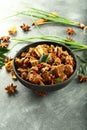 Kerala recipe- Bowl of spicy meat curry. Royalty Free Stock Photo