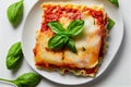 Homemade traditional lasagna food with baked cheese and minced meat