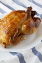 Homemade traditional rotisserie chicken on white plate, low angle view. Closeup