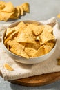 Homemade Triangle Tortilla Corn Chips