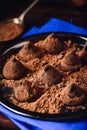 Homemade truffles with dark chocolate Royalty Free Stock Photo