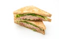 Homemade Tuna Sandwich on white background Royalty Free Stock Photo