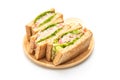 Homemade Tuna Sandwich on white background Royalty Free Stock Photo