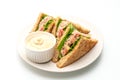 Homemade Tuna Sandwich on white background Royalty Free Stock Photo