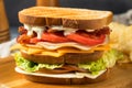 Homemade Turkey Club Sandwich Royalty Free Stock Photo