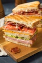 Homemade Turkey Club Sandwich Royalty Free Stock Photo