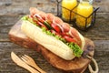 Homemade turkey ham sandwich with tomato, cucumber, red onion, olives, lettuce, cheese and white sauce. Royalty Free Stock Photo