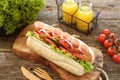 Homemade turkey ham sandwich with tomato, cucumber, red onion, olives, lettuce, cheese and white sauce. Royalty Free Stock Photo