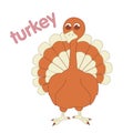 Homemade Turkey illustration for children