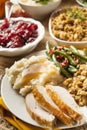 Homemade Turkey Thanksgiving Dinner Royalty Free Stock Photo