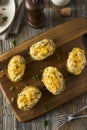 Homemade Twice Baked Potatoes Royalty Free Stock Photo