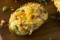 Homemade Twice Baked Potatoes Royalty Free Stock Photo