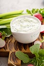 Homemade tzatziki dip or sauce