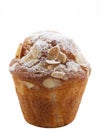 Homemade unwrapped almond muffin Royalty Free Stock Photo