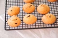 Homemade vanilla cookies with chocolate chips on a wire rack. White stone background. Royalty Free Stock Photo