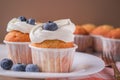 Homemade Vanilla Cupcakes Ready for Breakfast. Vanilla muffins decorated with cream and blueberries. Royalty Free Stock Photo