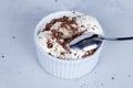 Homemade vanilla ice cream with chocolate chips  in a bowl with a spoon. Royalty Free Stock Photo