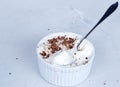 Homemade vanilla ice cream with chocolate chips  in a bowl with a spoon. Royalty Free Stock Photo