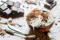 Homemade vanilla ice cream with chocolate chips Royalty Free Stock Photo