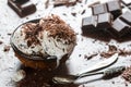 Homemade vanilla ice cream with chocolate chips Royalty Free Stock Photo