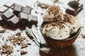 Homemade vanilla ice cream with chocolate chips Royalty Free Stock Photo