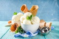 Homemade vanilla ice cream