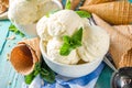 Homemade vanilla ice cream