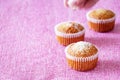 Homemade vanilla muffins with coconut powder. Pink background. Copy space. Selective focus. Good morning concept