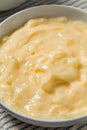 Homemade Vanilla Tapioca Pudding Royalty Free Stock Photo