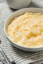 Homemade Vanilla Tapioca Pudding Royalty Free Stock Photo