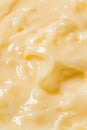 Homemade Vanilla Tapioca Pudding Royalty Free Stock Photo