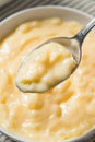 Homemade Vanilla Tapioca Pudding Royalty Free Stock Photo