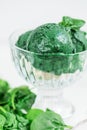 Homemade Vegan Banana, Spinach, Spirulina Nice Cream or Sorbet