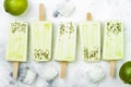 Homemade vegan frozen coconut mojito popsicles - ice pops - paletas with chia seeds.