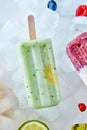 Homemade vegan frozen kiwi popsicles over the ice with slice lime, berries and kiwi, flat lay Royalty Free Stock Photo