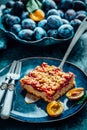 Homemade vegan German plum cake (Zwetschgenkuchen) with yeast dough and crumbles Royalty Free Stock Photo