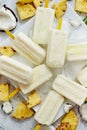 Homemade vegan popsicles made with coconut milk and pineapple. Delicious healthy summer snack