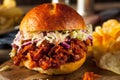 Homemade Vegan Pulled Jackfruit BBQ Sandwich Royalty Free Stock Photo