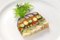 Homemade vegetable terrine Royalty Free Stock Photo