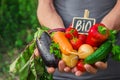Homemade vegetables in the hands of men. harvest. selective focus. Royalty Free Stock Photo